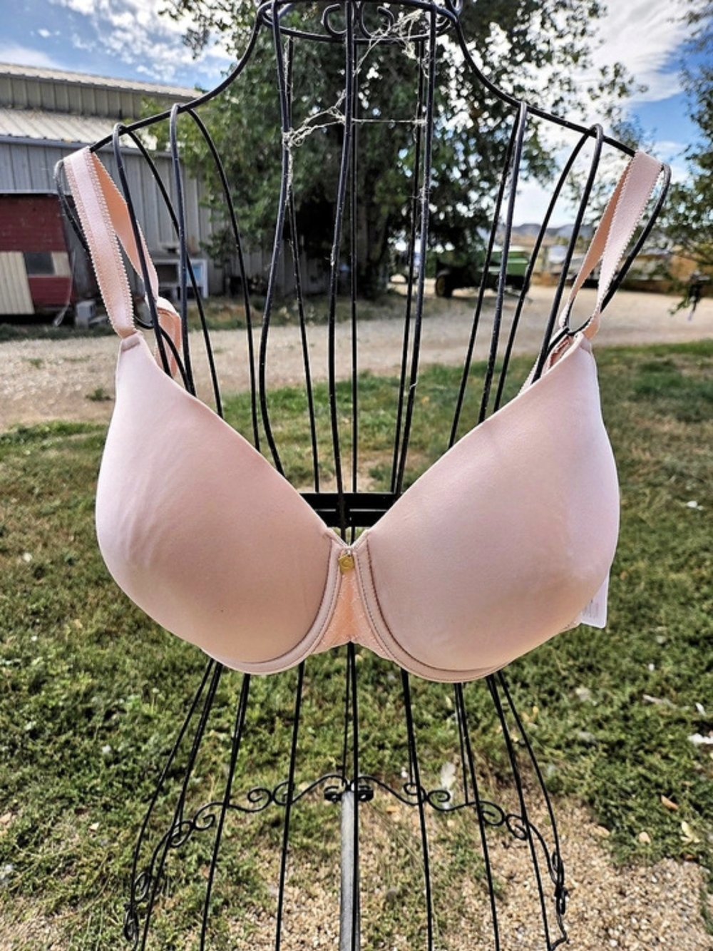 Chantelle Norah Chic Contour Bra Pink 32 F NWT